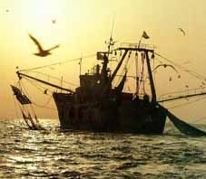 iran_bandar_abbas